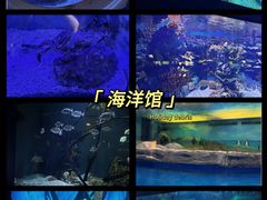 -北京海洋馆