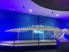 -福州罗源湾海洋世界旅游区