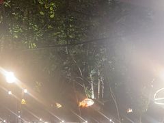 -陶缘一号·四季缘·老字号顺德菜·户外婚礼家宴(西滘店)