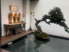 -觀芷隐轩
