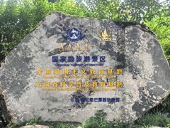 -云南勐巴娜西珍奇园