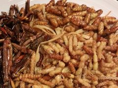 -缘生态云南菜·野生菌庭院餐厅(华侨城店)