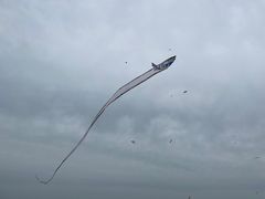 -那香海钻石沙滩浴场