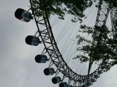 android_upload_pic-哈尔滨文化公园