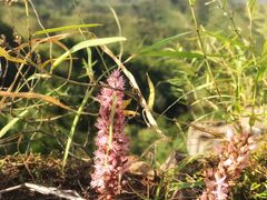 -蟠龙山长城景区