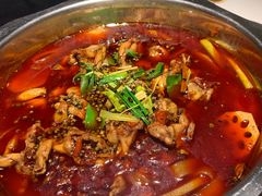 牛蛙-宽口美蛙鱼头(大唐西市店)