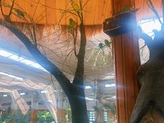 -南宫五洲植物乐园