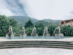 -达蓬山星梦乐园