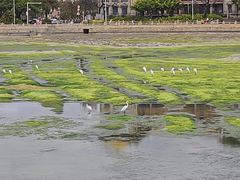-龙舟池