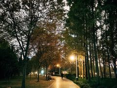 -新虹桥中心花园