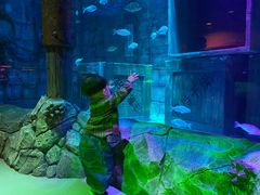 -沈阳海洋探索中心