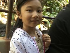 -加州迪士尼乐园