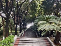 -重庆平顶山公园