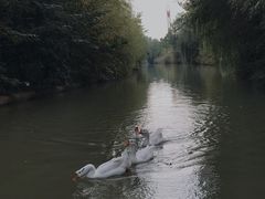 -洛阳市隋唐城遗址植物园