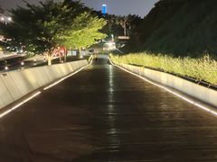 -欢乐海岸水秀剧场