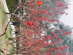 -桃花涧