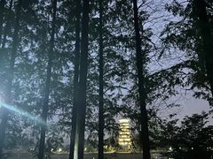 -食膳公园包子铺(烈士公园店)