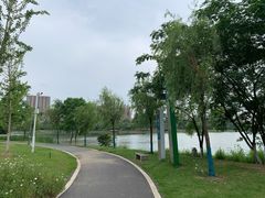 -金银湖国家城市湿地公园