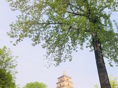 -大慈恩寺(大雁塔)