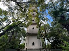 -江心屿景区