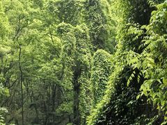 -石门洞景区