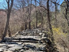 -北京鹫峰国家森林公园