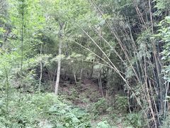 -峙山公园