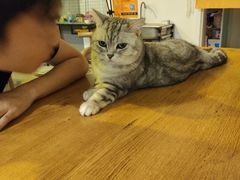 -平行世界·猫咖(首经贸店)