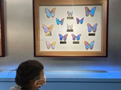 -上海昆虫博物馆