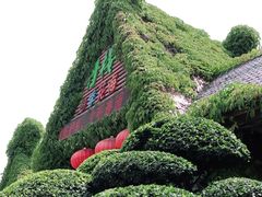 -丹樱生态园