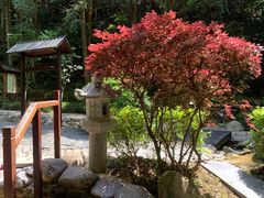 -明月山天沐温泉度假村