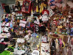 -周口市第四初级中学