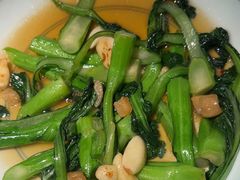 -大榕树下顺德菜(融创茂店)