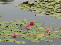 -金银湖国家城市湿地公园