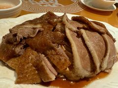 -金燕岛潮州酒楼