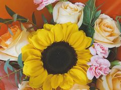 -成都市第一人民医院(南区)