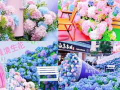 -HALO广场(梨园路店)