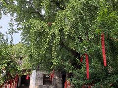 -天朝元辅-徐州民俗博物馆