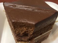 -维尔纳斯·生日蛋糕动物奶油冰淇淋蛋糕(人大店)