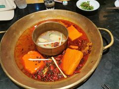 -杨家火锅(国美店)