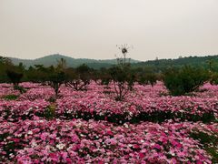 -九龙潭景区