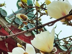 -中国中医科学院西苑医院(本部)