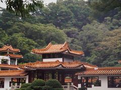 -深圳市中科院仙湖植物园