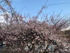 -白塘生态植物园