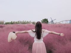 -金卉庄园