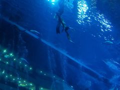 -成都浩海立方海洋公园