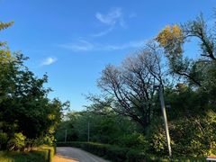 -长春市南湖公园