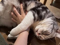 -咖法森林·咖啡  酒吧(天河店)