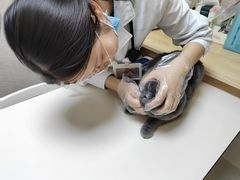 -谐和贝康宠物医院24小时·宠保定点(急重症转诊中心)