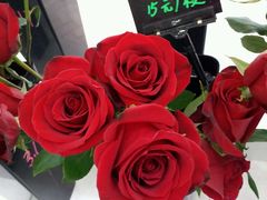 -Butchart布查德鲜花(花艺设计中心)